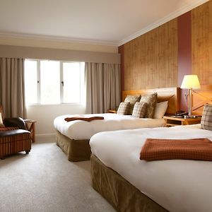Superior Queen Room Two Queen Beds